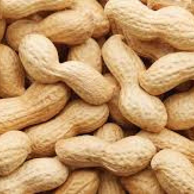 Peanut allergy treatment 