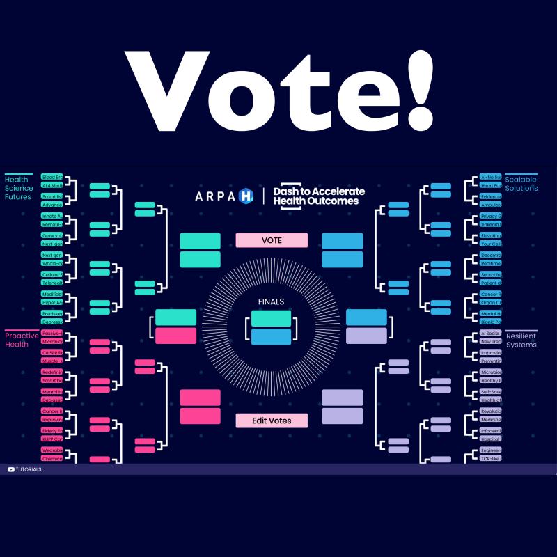 Diagram showing the voting brackets with text that says "vote!"
