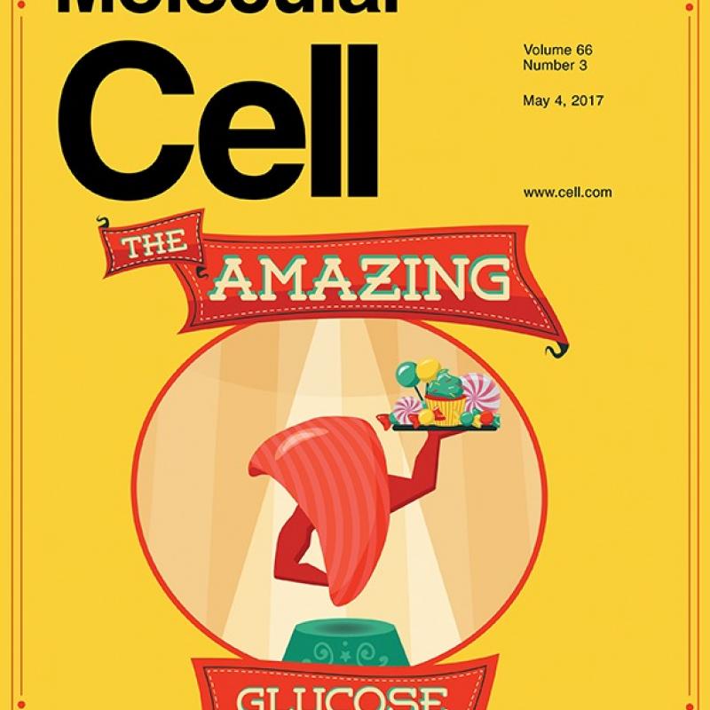 Molecular Cell Journal Cover