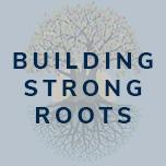 Building Strong Roots written over an image of a vibrant tree with colorful branches and roots