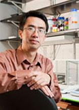 Jun Li, Ph.D.