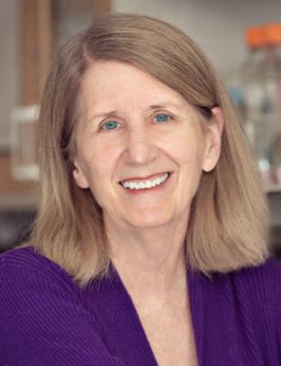 Janet Smith, Ph.D. | Biological Chemistry | Michigan Medicine | University  of Michigan