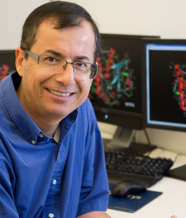 Nouri Neamati, Ph.D. | Cancer Biology | Michigan Medicine | University of  Michigan