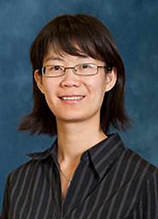 Lili Zhao, PhD