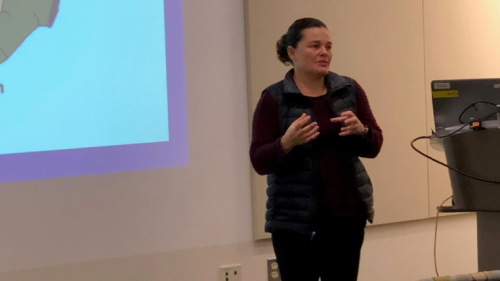 Darleen Sandoval, PhD speaking at a diabetes lecture series