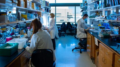 a photo inside the lab of the NeuroNetwork for Emerging Therapies