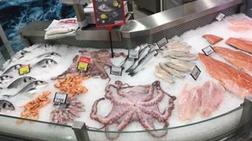 Fresh octopi, squid and several varieties of fish with price tags sitting on ice in a market display
