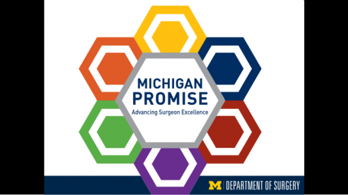 The Michigan Promise graphic - first slide of "This Is What We Stand For" presentation