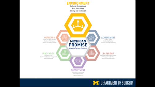 Michigan Promise graphic highlighting Environment - twenty-fourth slide of "This Is What We Stand For" presentation