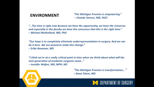 Faculty quotes about the Michigan Promise - twenty-fifth slide of "This Is What We Stand For" presentation