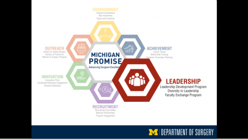 Michigan Promise graphic highlighting Leadership - twenty-ninth slide of "This Is What We Stand For" presentation