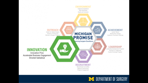 Michigan Promise graphic highlighting Innovation - thirty-first slide of "This Is What We Stand For" presentation